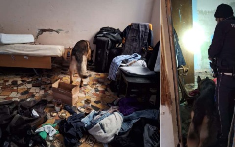 Blitz della polizia locale in via Faccio: trovato quasi un etto di hashish e scoperti giacigli di fortuna