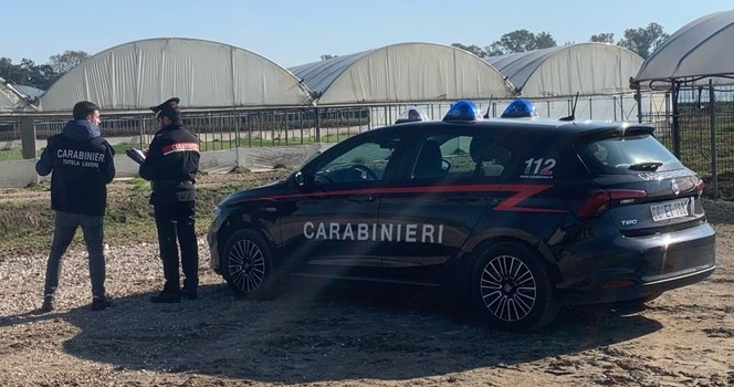 Caporalato, i controlli dei Carabinieri. Denunciato il titolare di un’azienda agricola