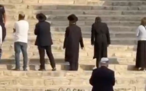 Cinquecento coloni israeliani sulla spianata della Moschea di Al-Aqsa