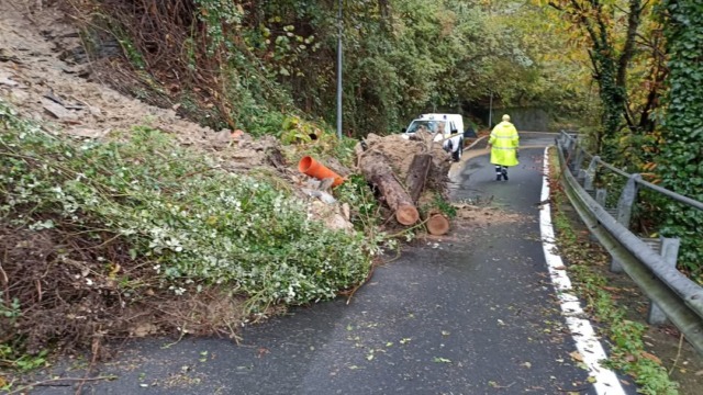 Cogorno: chiusa la provinciale 34 per la caduta di un albero