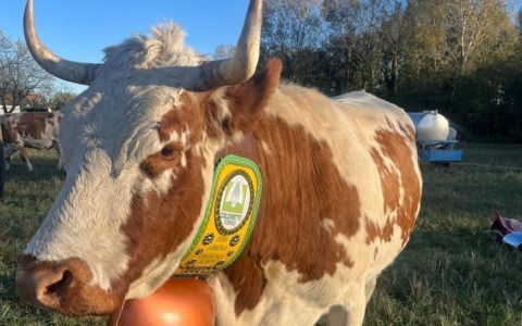 Coldiretti Torino presenta l’andamento dell’economia agricola alla chiusura dell’annata agraria 2025