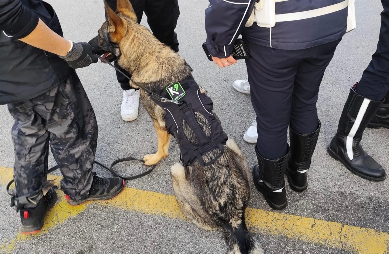 Consumo di sostanze stupefacenti tra giovani e giovanissimi: controlli e sequestri