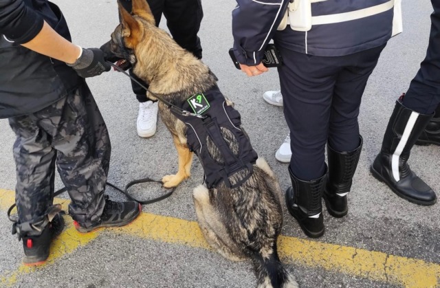 Consumo di sostanze stupefacenti tra giovani e giovanissimi: controlli e sequestri