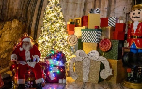 Cosa fare a Novara e Provincia: gli eventi del weekend 29-30 novembre 2025