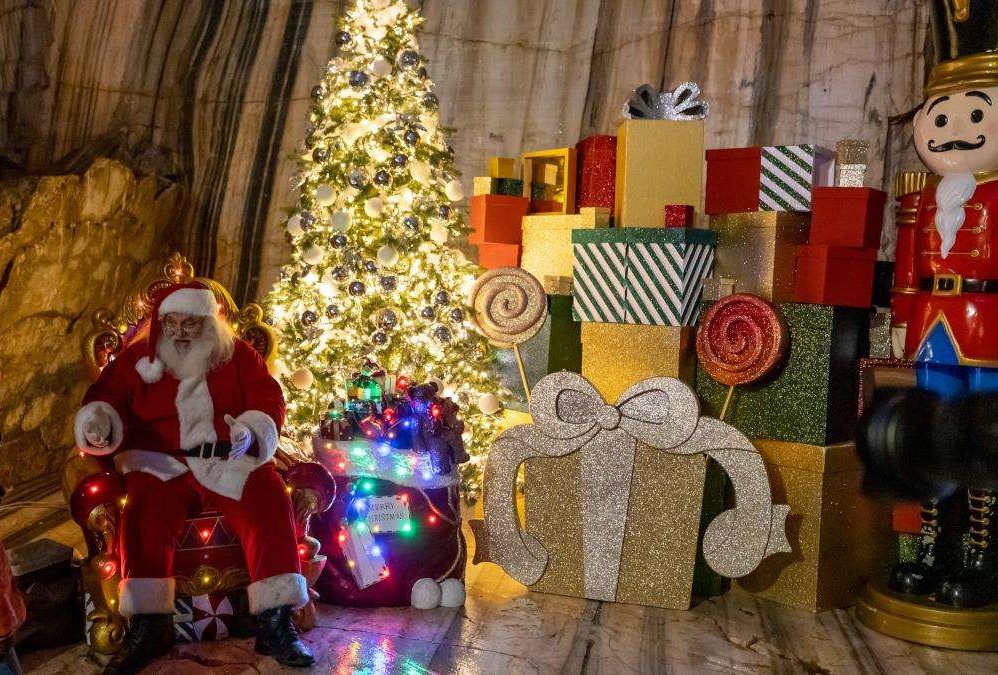 Cosa fare a Novara e Provincia: gli eventi del weekend 29-30 novembre 2025