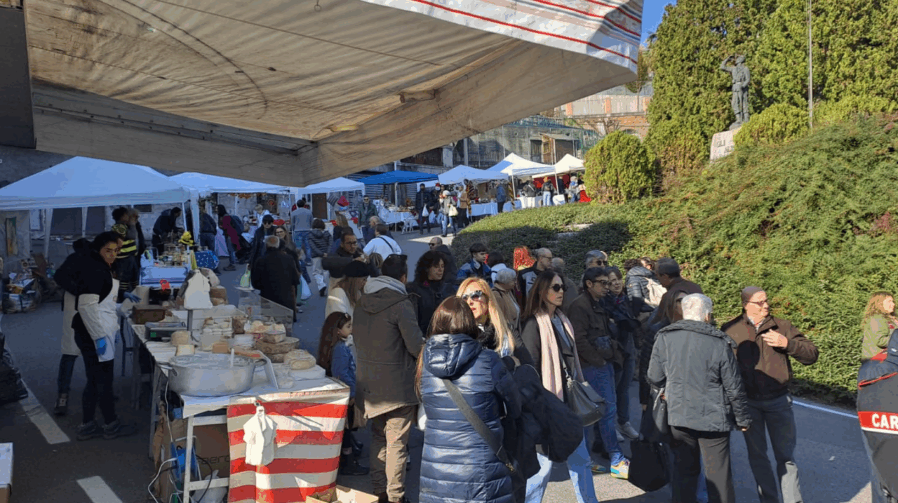 Cosa fare a Settimo Torinese e dintorni nel fine settimana: gli eventi dell’8 e 9 novembre