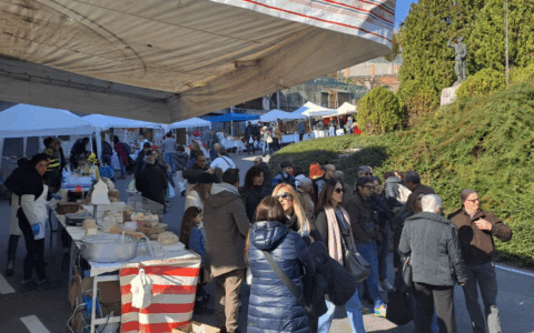 Cosa fare a Settimo Torinese e dintorni nel fine settimana: gli eventi dell’8 e 9 novembre