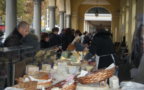 Cosa fare in Canavese nel weekend: gli eventi di sabato 8 e domenica 9 novembre 2025