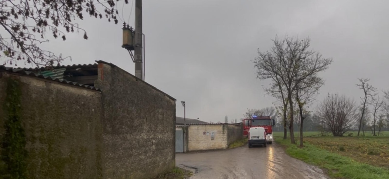 Crolla il tetto di un’azienda agricola, tratti in salvo già 500 maiali. Si scava tra le macerie