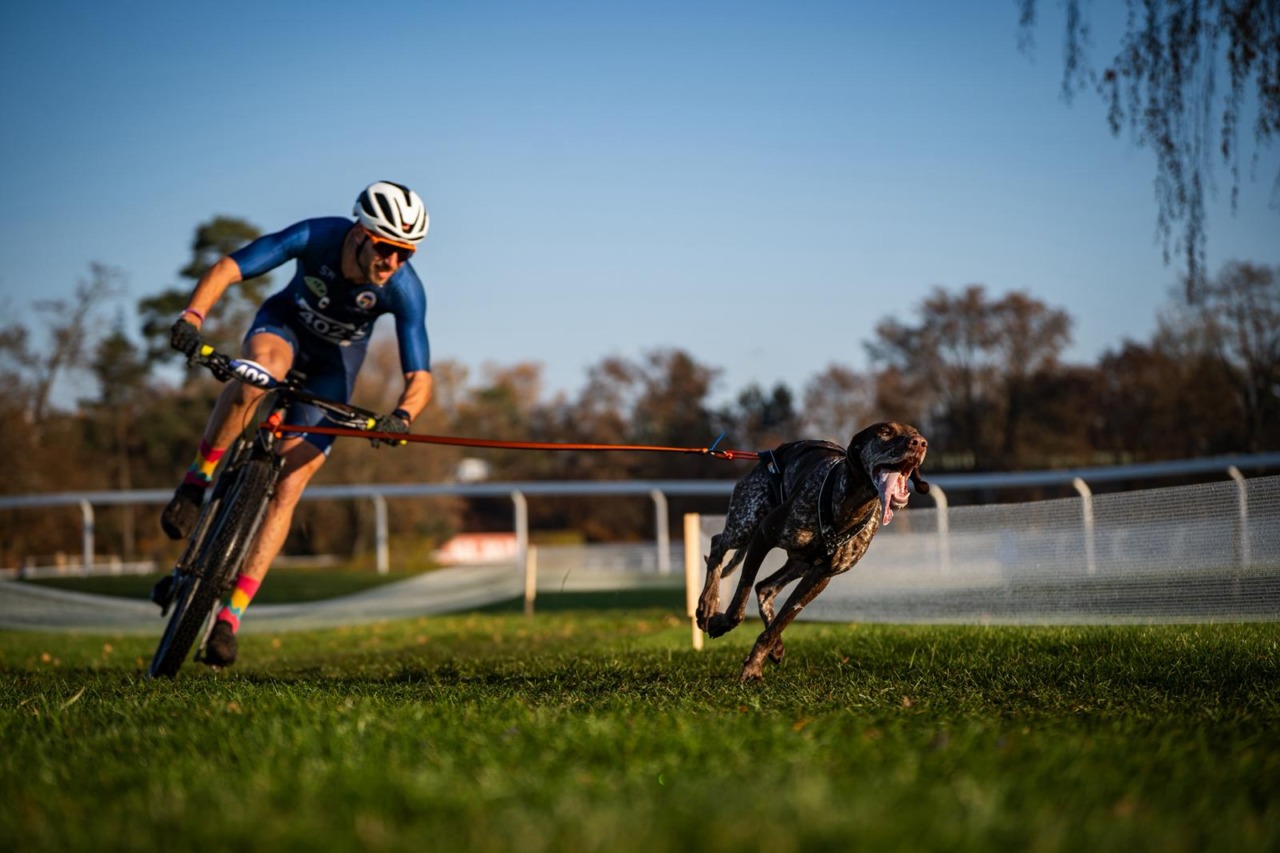 Davide & Uma e l’argento ai Mondiali di canicross: “Gli allenamenti all’alba, i sacrifici e… la sintonia è fondamentale”