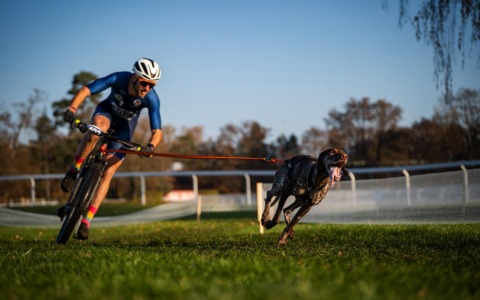Davide & Uma e l’argento ai Mondiali di canicross: “Gli allenamenti all’alba, i sacrifici e… la sintonia è fondamentale”