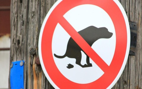 Deiezioni canine, fototrappole in azione a Venaria: 1.200 euro di multa al padrone indisciplinato