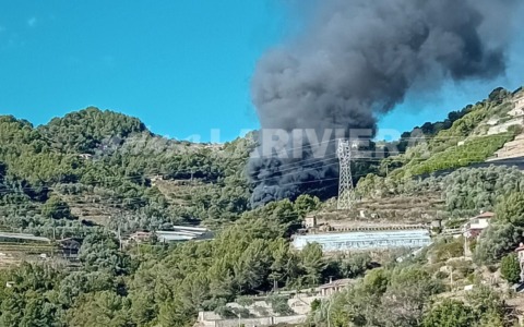 Divorata dalle fiamme una serra a Soldano
