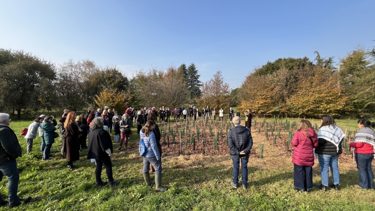 Ecologia, memoria femminile e partecipazione collettiva: ecco il “Bosco Plurale”