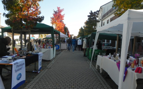 Fiera di San Martino: nel weekend il gran ritorno della tradizione a Tronzano