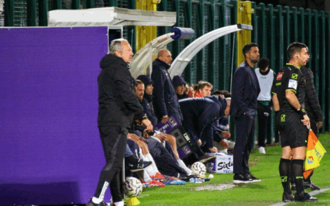 Giana Erminio-Albinoleffe, c’è fame di punti: le probabili formazioni