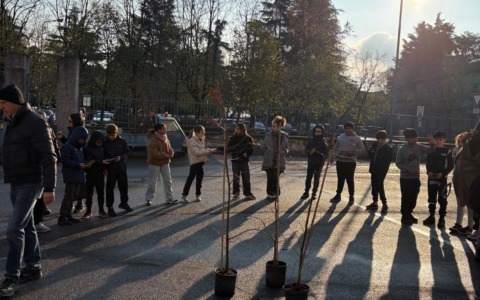 Giornata dell’albero, i ragazzi di quinta hanno messo a dimora venti carpini