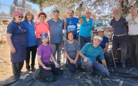 In Palestina a raccogliere olive, portare aiuto e seminare solidarietà