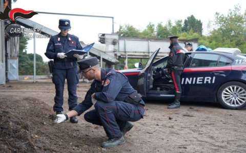 “Invece che fertilizzanti, rifiuti” sparsi anche nei campi della provincia di Cremona