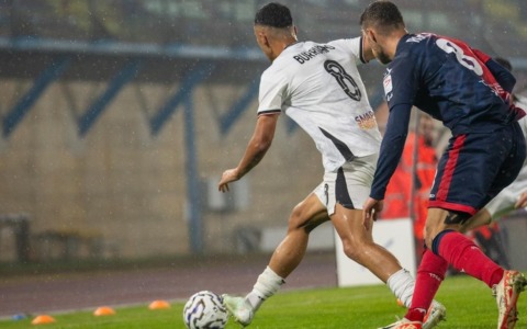 L’arbitra Gasperotti e un 2° tempo sottotono portano i Leoni al ko: Lumezzane-Pro Vercelli 3-1