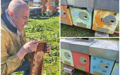 Mille euro di ricompensa per gli alveari rubati all’apicoltore Marco Ballestra. Ai ladri: “Chiamatemi vi offro un caffè e due chili di miele”