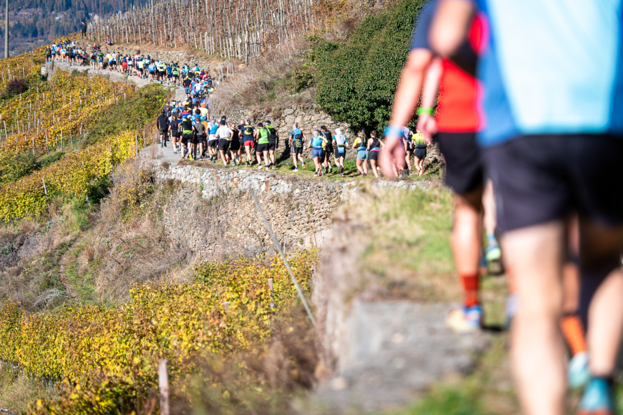 Minoggio e Plattner trionfano alla Valtellina Wine Trail: 5.000 runners in festa tra le vigne
