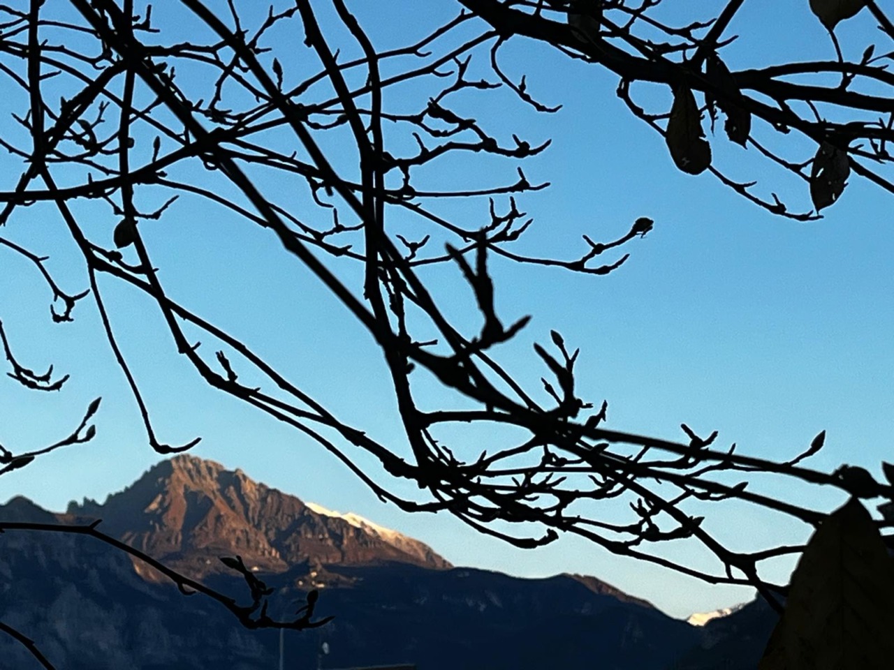 Neve sul Grignone e ritorno del sole: i colori d’autunno incantano la provincia di Lecco