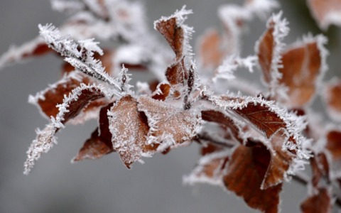 Nubi residue venerdì 21 novembre, poi weekend di cielo sereno ma con temperature invernali