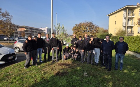 Nuovi alberi nei quartieri della città grazie al progetto “Alberiamo Alessandria”