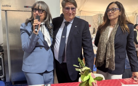 Olioliva 2025: “Saperi e Sapori”, le Pro Loco raccontano il territorio”