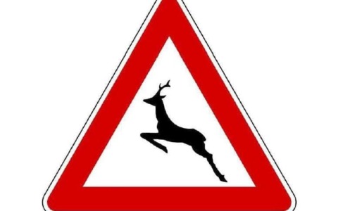 Parco dei Mughetti, attenzione alla presenza di cervi nelle ore notturne