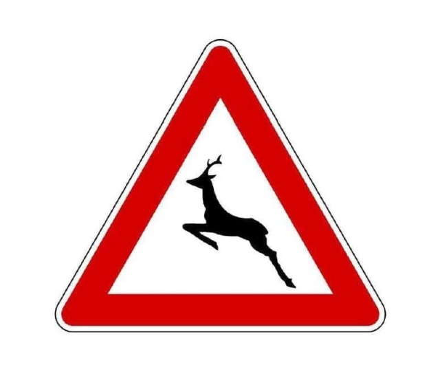 Parco dei Mughetti, attenzione alla presenza di cervi nelle ore notturne