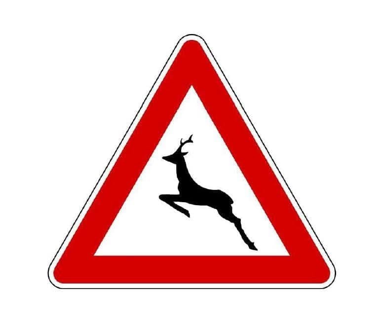 Parco dei Mughetti, attenzione alla presenza di cervi nelle ore notturne