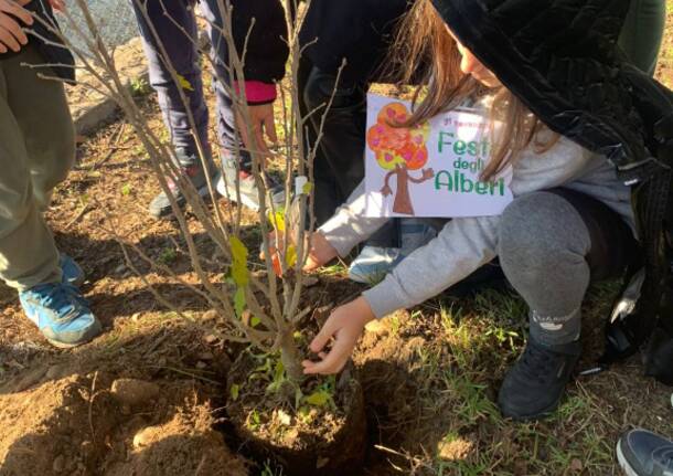 Sermoneta celebra la Giornata dell’Albero