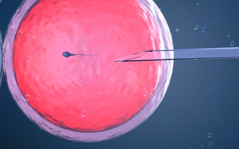 Sostegno alla fertilità: nuovo ambulatorio per la procreazione assistita