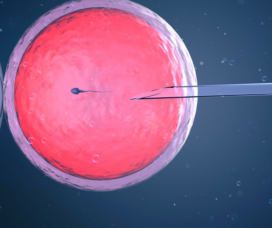 Sostegno alla fertilità: nuovo ambulatorio per la procreazione assistita