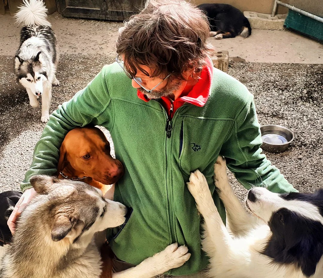 Terzo incontro gratuito sull’educazione dei cani a Vercurago