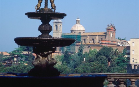 Viterbo, il Centro Storico sotto scacco della ‘Schiaffeggiatrice Seriale’: tra violenza e un inquietante grido