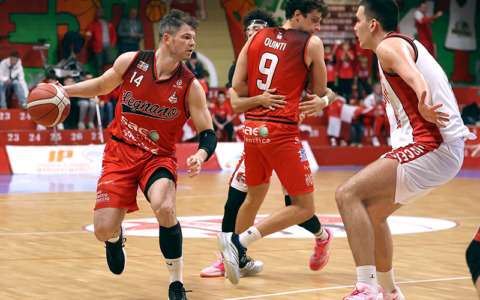 Vittoria convincente dei Knights a Piacenza