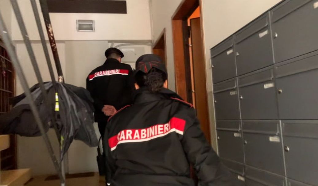 18enne ai domiciliari aizza il pitbull contro un carabiniere