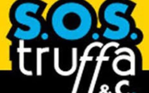 Acquisti natalizi on line: crescono i casi di truffe