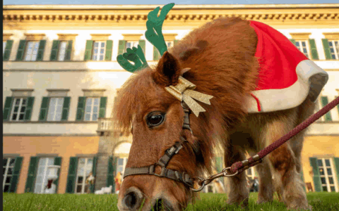 Agenda del week-end, gli appuntamenti del fine settimana