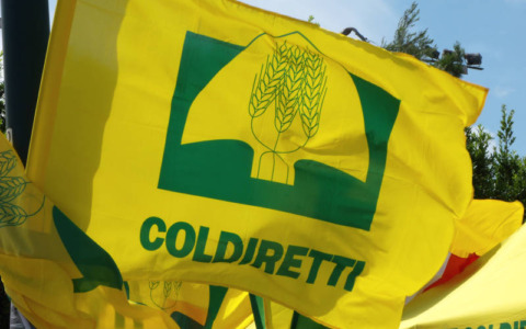 Agricoltori dell’imperiese a Bruxelles per difendere il territorio