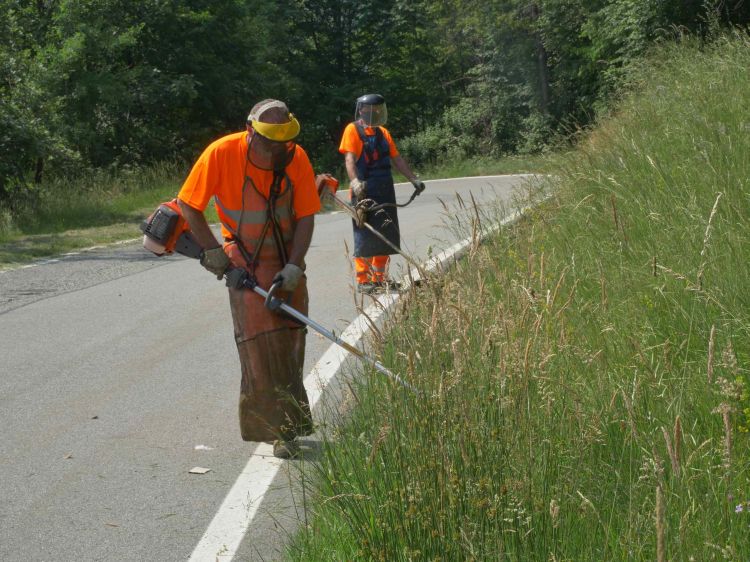 Al via il concorso per 35 nuovi cantonieri: la Città metropolitana potenzia la viabilità