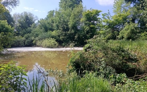 Al via il piano “salva zone umide”: a Pavia parte il progetto di tutela della biodiversità