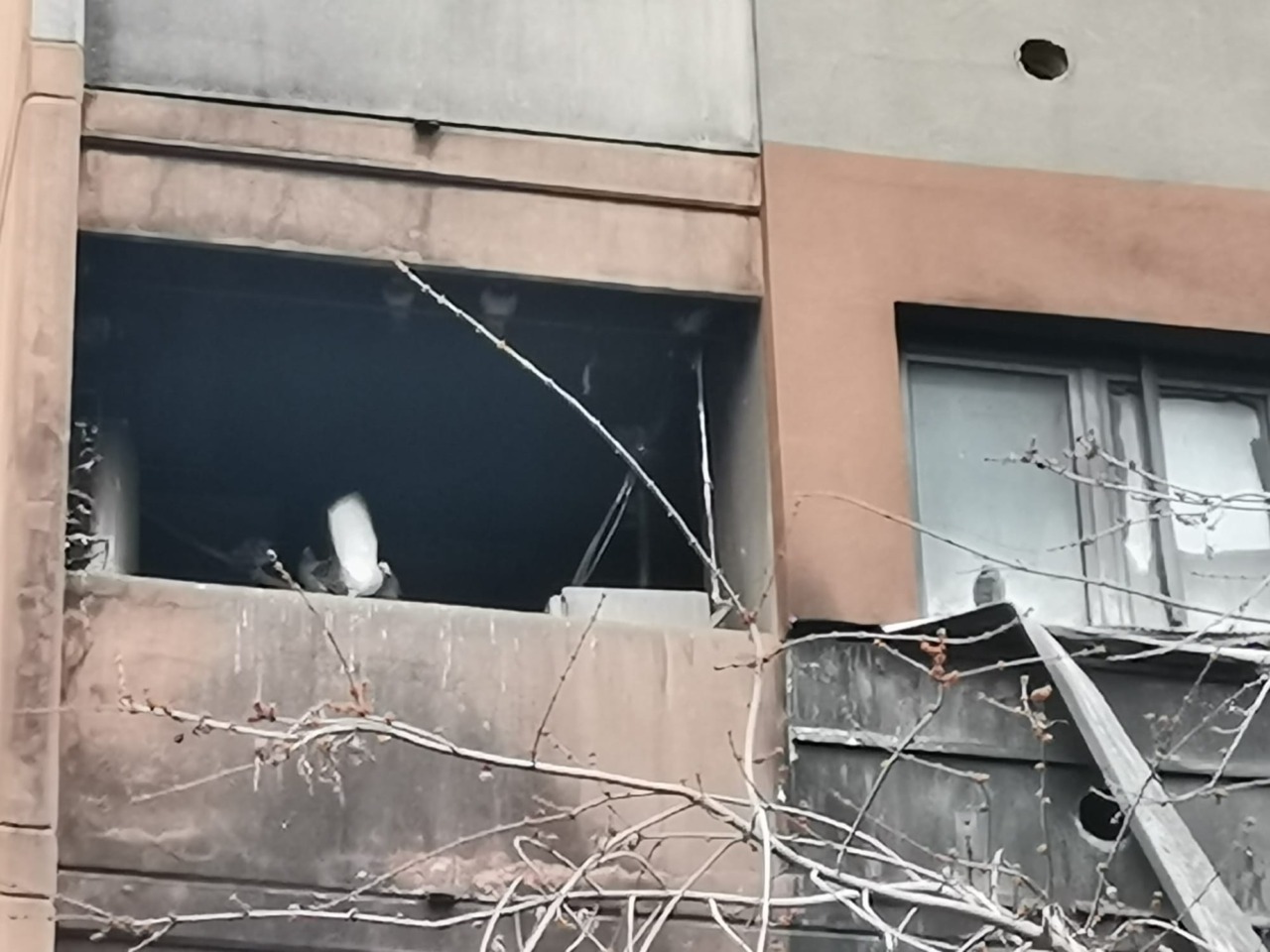 Appartamenti incendiati abbandonati ai piccioni, incontro con Aler