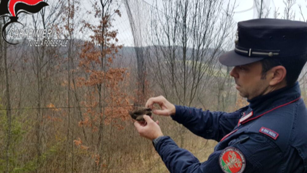 Bracconaggio, 19 denunce tra ottobre e dicembre