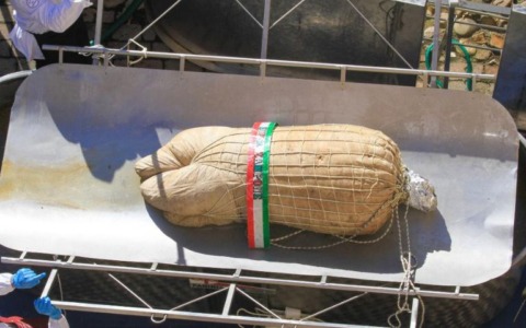 Castelnuovo si prepara per il taglio di “sua maestà” il  “superzampone”