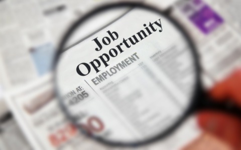 Cerchi lavoro? Scopri le offerte attive a Cremona e provincia (9 – 15 dicembre 2025)