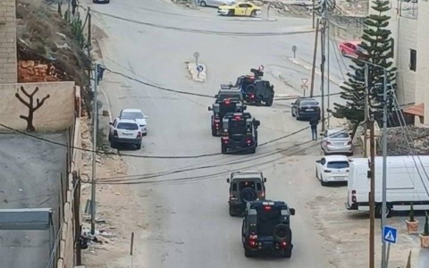 Cisgiordania: attivisti italiani aggrediti dai coloni in un’area dove non dovrebbe esserci presenza israeliana